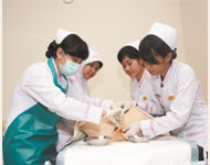 Institut Ilmu Kesehatan, IIK, fasilitas kampus