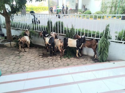 Keluarga Besar Bhakti Wiyata Rayakan Idul Adha dengan Berbagi Daging Kurban untuk Masyarakat