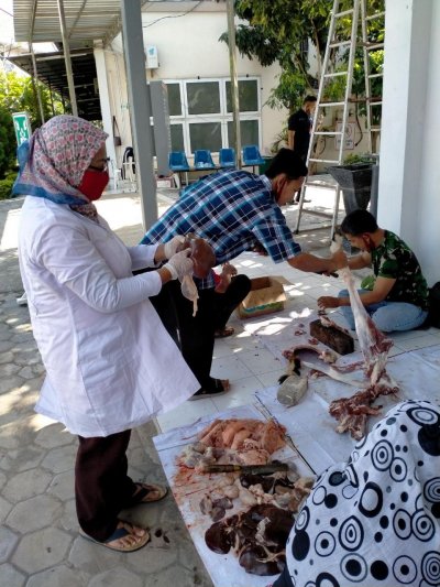 Prosesi pemotongan daging kambing 